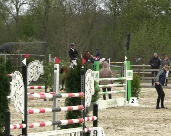 Reitturnier Nienberge 2023