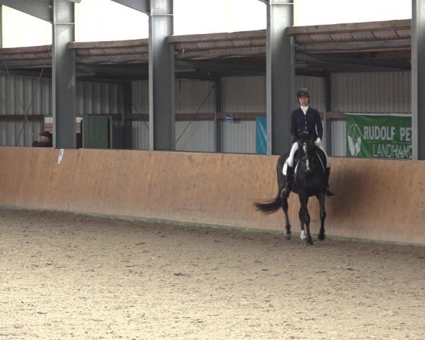 Reitturnier Schlieckau 2023