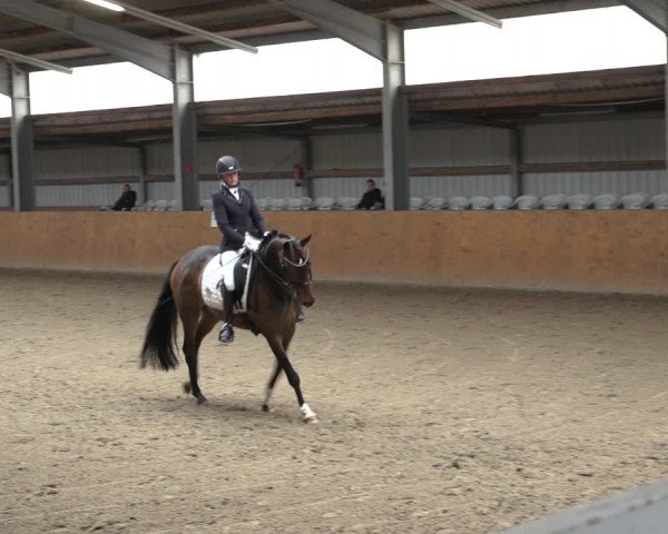 Reitturnier Schlieckau 2023