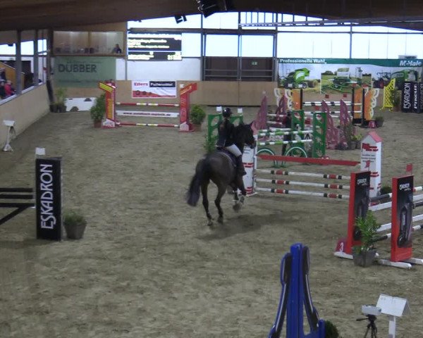 Reitturnier Borgholzhausen-Westbarthausen 2021