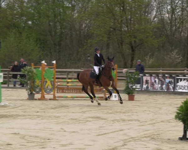 Reitturnier Nienberge 2023