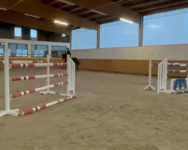 Video of Cosmonaut 9