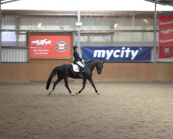 Reitturnier Schlieckau 2023