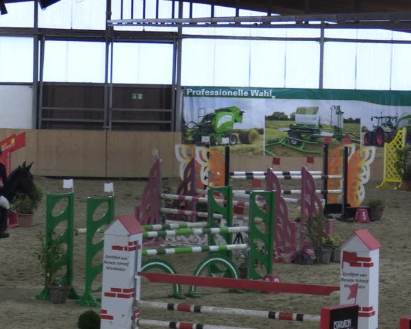 Reitturnier Borgholzhausen-Westbarthausen 2021