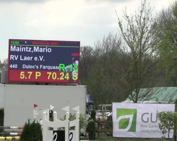 Reitturnier Nienberge 2023