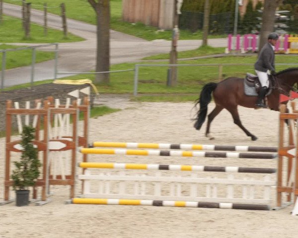 Reitturnier Ingolstadt-Hagau/Obb. 2023