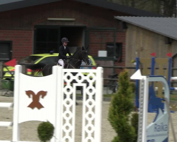 Reitturnier Diepholz 2023