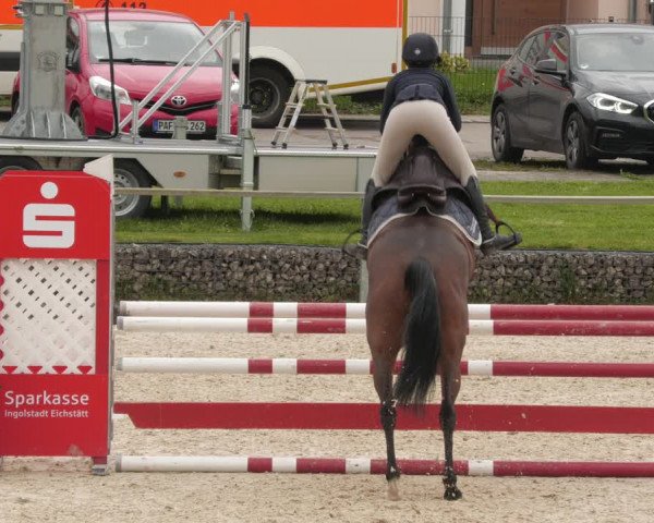 Reitturnier Ingolstadt-Hagau/Obb. 2023