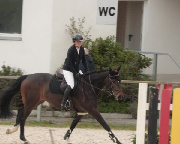 Reitturnier Ingolstadt-Hagau/Obb. 2023