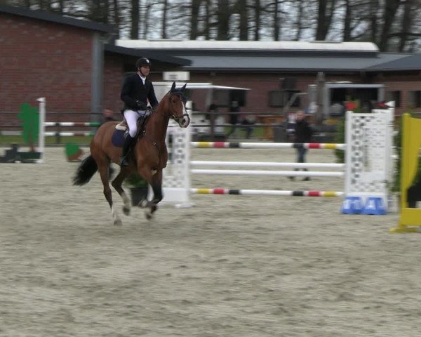Reitturnier Diepholz 2023