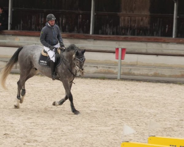 Reitturnier Ingolstadt-Hagau/Obb. 2023