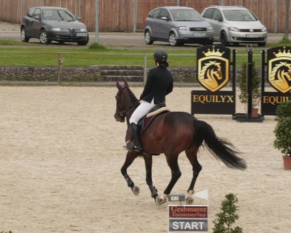 Reitturnier Ingolstadt-Hagau/Obb. 2023