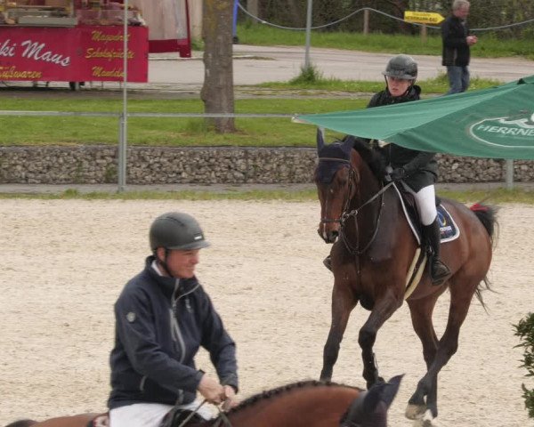 Reitturnier Ingolstadt-Hagau/Obb. 2023