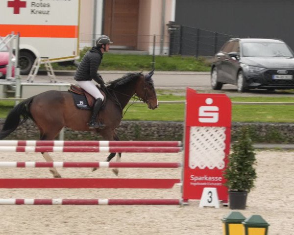 Reitturnier Ingolstadt-Hagau/Obb. 2023