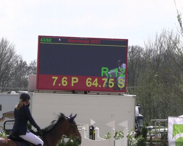Reitturnier Nienberge 2023