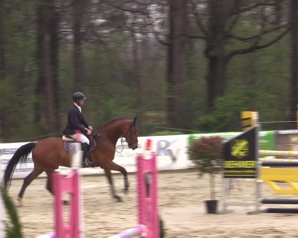 Reitturnier Rhede 2023