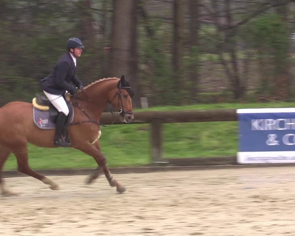 Reitturnier Rhede 2023