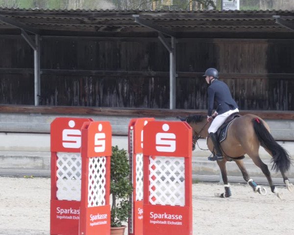 Reitturnier Ingolstadt-Hagau/Obb. 2023