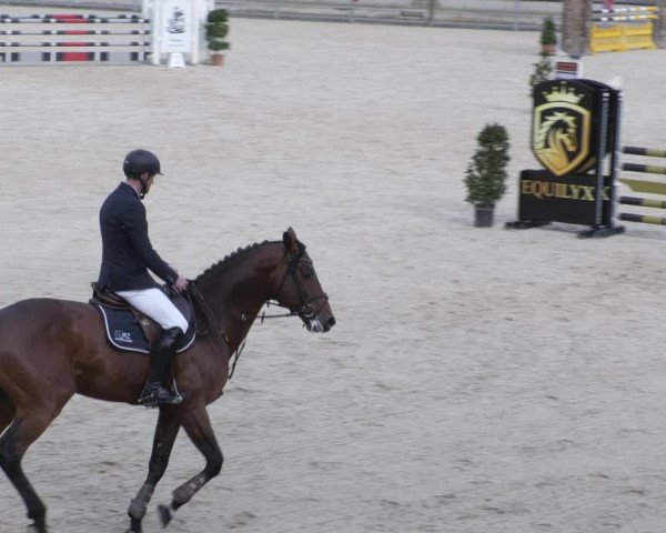 Reitturnier Ingolstadt-Hagau/Obb. 2023