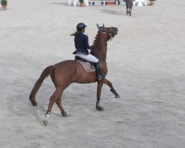 Reitturnier Ingolstadt-Hagau/Obb. 2023