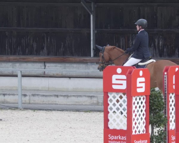 Reitturnier Ingolstadt-Hagau/Obb. 2023