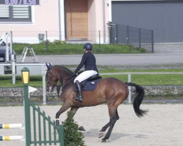 Reitturnier Ingolstadt-Hagau/Obb. 2023