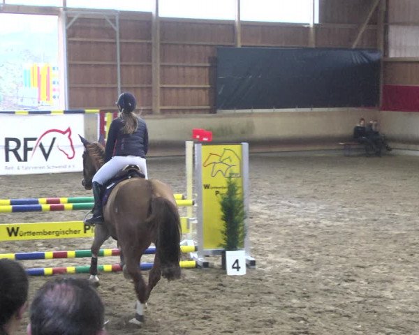 Reitturnier Schwendi 2021