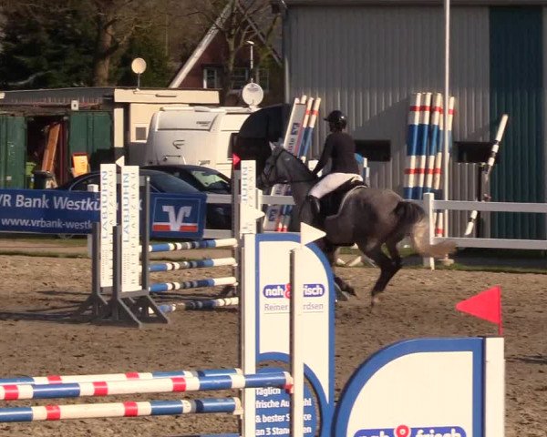 Reitturnier Mildstedt 2023