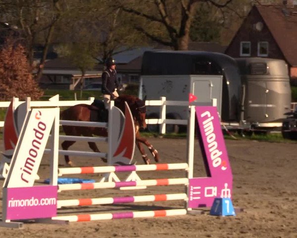 Reitturnier Mildstedt 2023