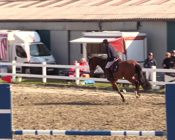 Reitturnier Mildstedt 2023