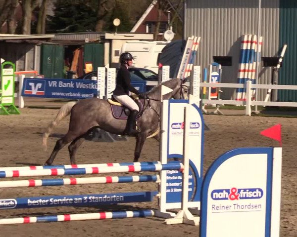 Reitturnier Mildstedt 2023