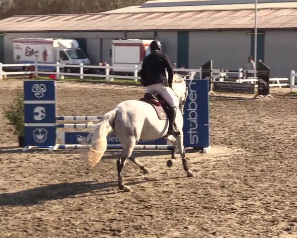 Reitturnier Mildstedt 2023