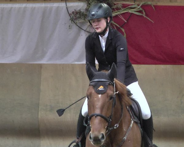 Reitturnier Schwendi 2021