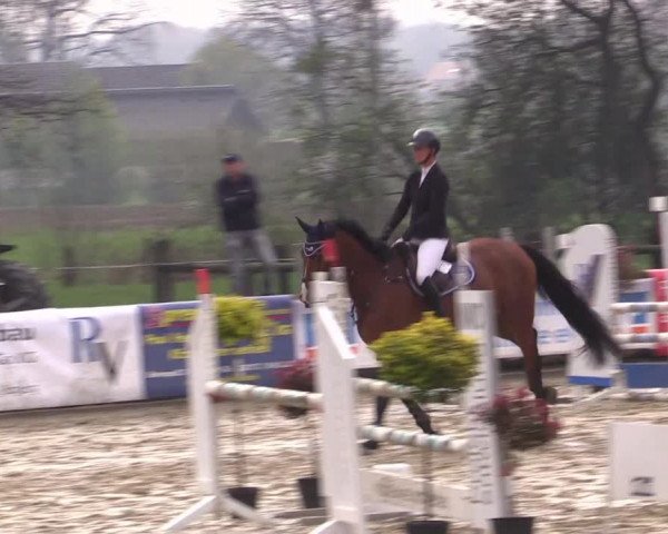 Reitturnier Rhede 2023