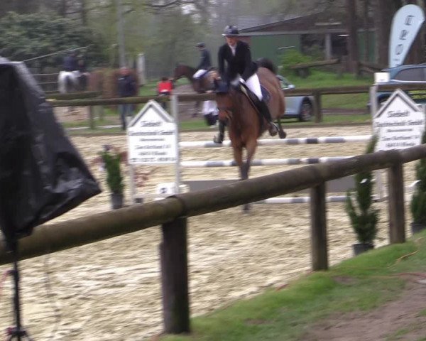 Reitturnier Rhede 2023