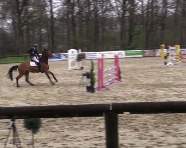 Reitturnier Rhede 2023