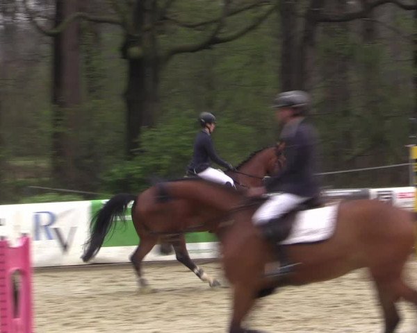 Reitturnier Rhede 2023