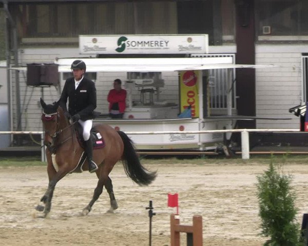 Reitturnier Bottrop 2023