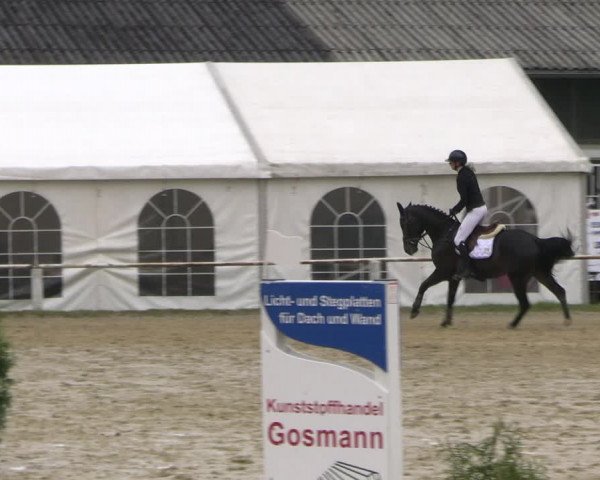 Reitturnier Bottrop 2023