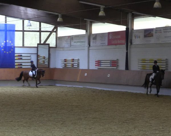 Reitturnier Bottrop 2023