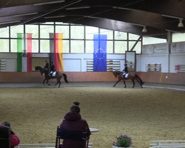 Reitturnier Bottrop 2023