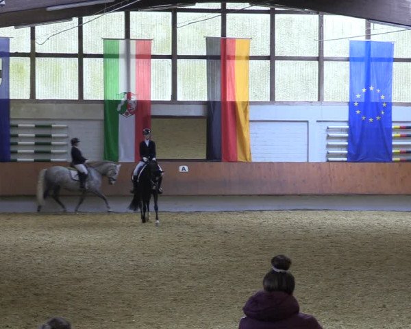 Reitturnier Bottrop 2023