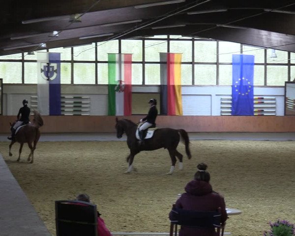 Reitturnier Bottrop 2023
