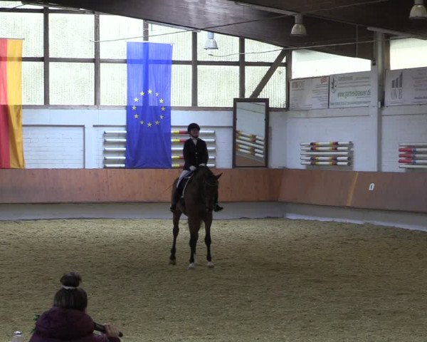 Reitturnier Bottrop 2023