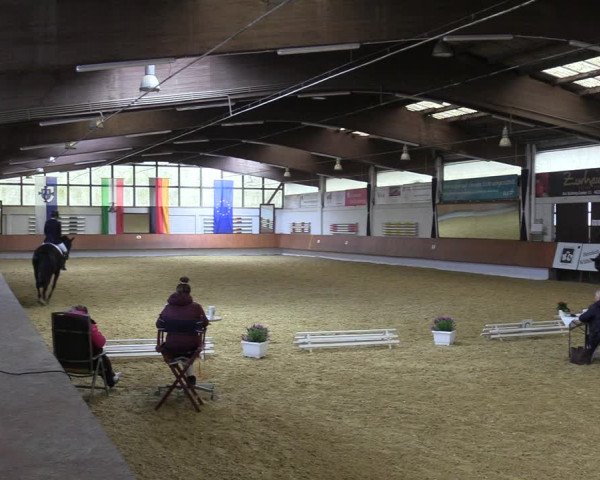 Reitturnier Bottrop 2023