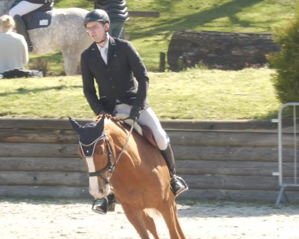 Reitturnier Tübingen 2023