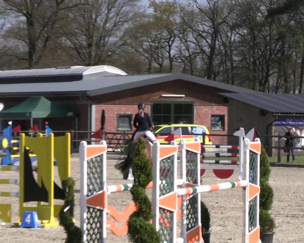 Reitturnier Diepholz 2023