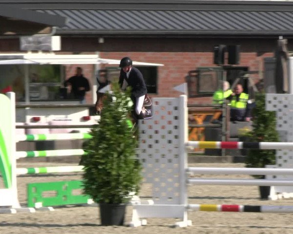 Reitturnier Diepholz 2023