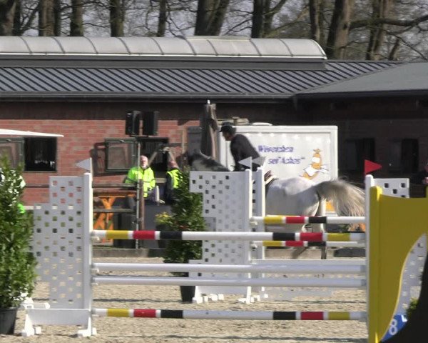 Reitturnier Diepholz 2023