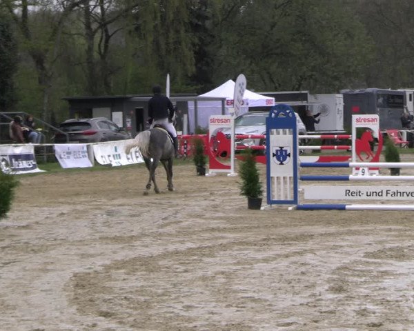 Reitturnier Bottrop 2023